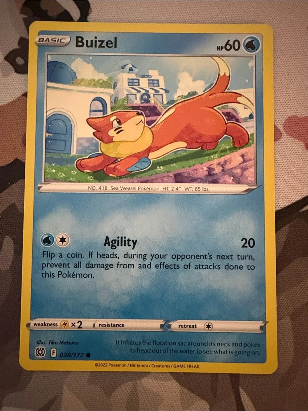 Buizel & Floatzel Evolution Lot | 5 Pokémon Cards | ✨5/$25✨